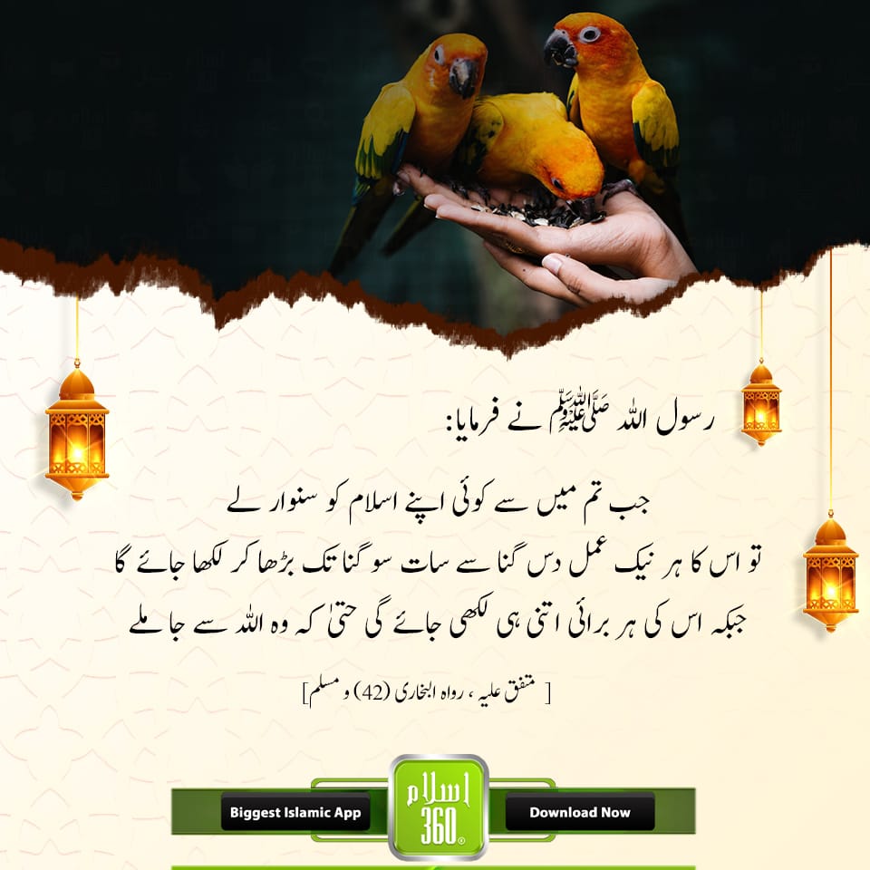 السلام علیکم صبح بخیر 
جمعہ مبارک 
#GoodMorningEveryone