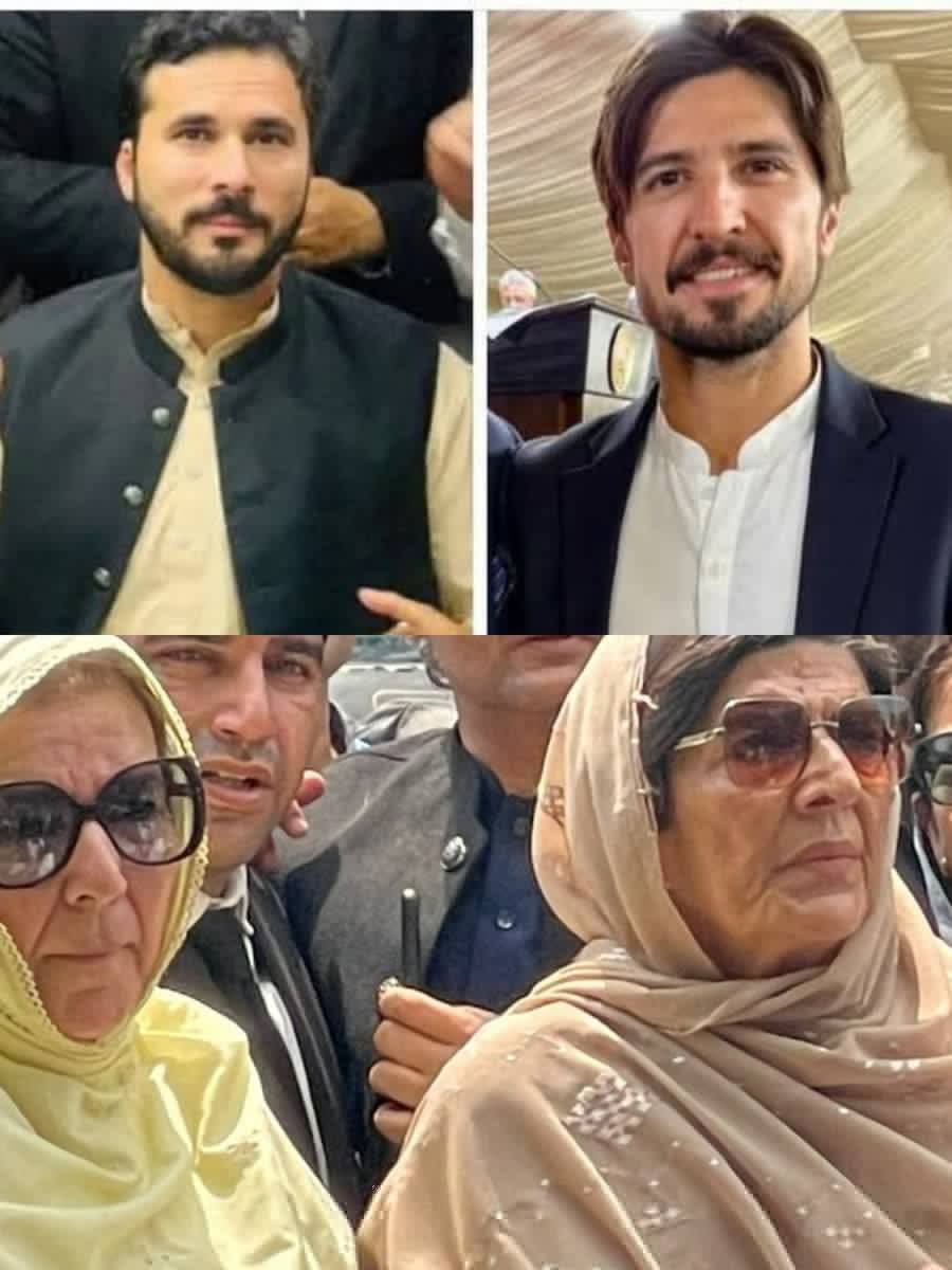 نیازی خاندان اس پورے نظام کی منجی ٹھوک رہا ہے، ایک سے بڑھ کر ایک سپوت ہے