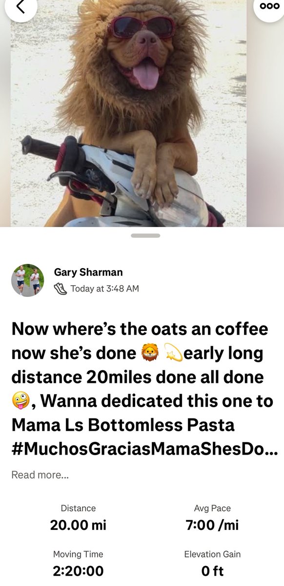 gsharman's tweet image. Now where’s the oats an coffee now she’s done 🦁 💫early long distance 20miles done all done 🤪, Wanna dedicated this one to Mama Ls Bottomless Pasta #MuchosGraciasMamaShesDone 👩‍🍳 💙❤️😃👍🩵🔥 #BeliveInYou