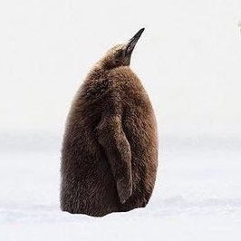 Love never fails tweet media