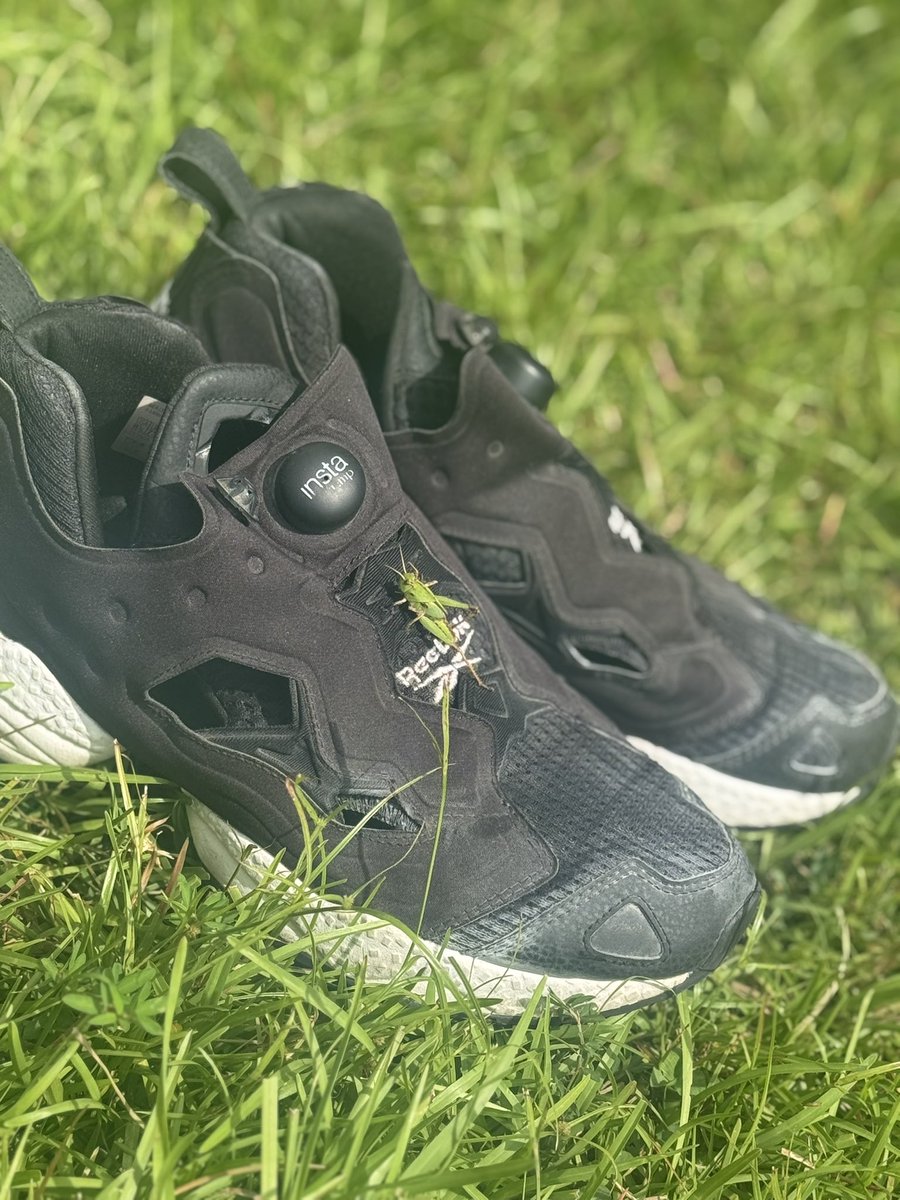 pipipi_morilyn's tweet image. #ワイバン
ありがとうございましたー!
スペシャル助っ人は
事務所の大先輩、NAOKIさん
同世代の同じ髪型、萌々子さん!
強力なお二人とお馴染み560さんに力を借りて
楽しくらやせてもらいました😌❤️🔥
晴れて良かったね〜🔆