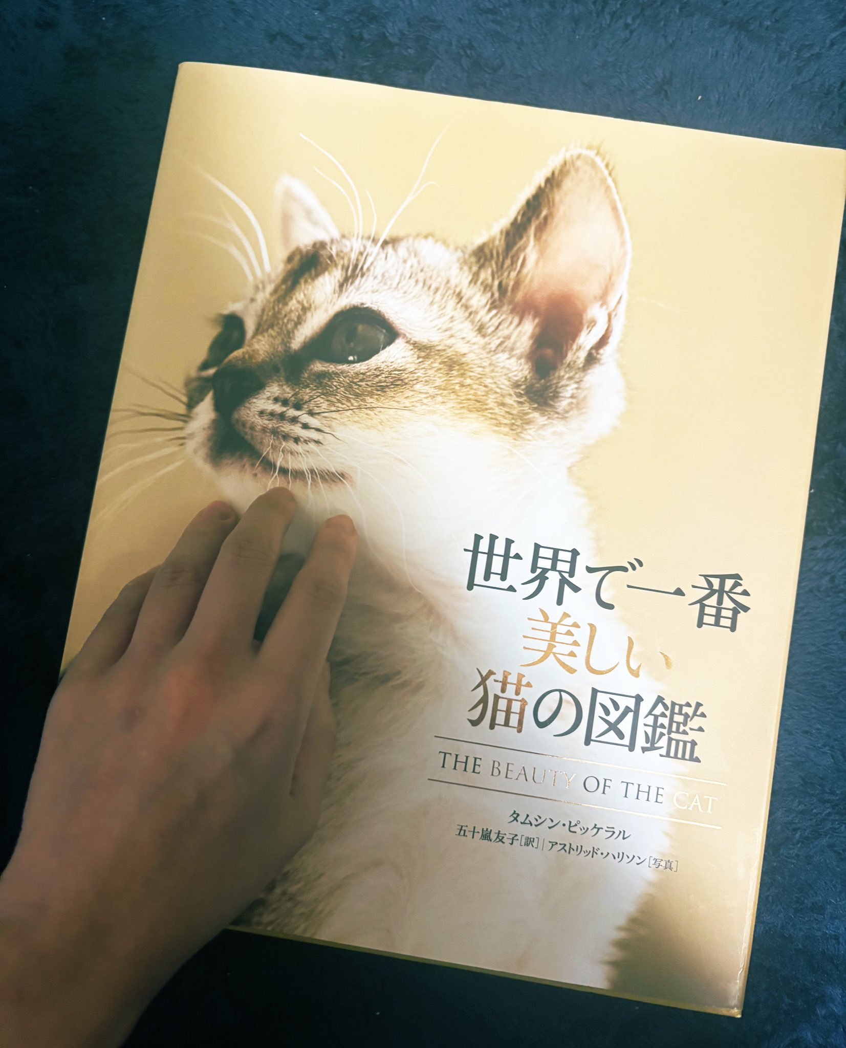 Narumi Kawase 9月名古屋個展 on X: 