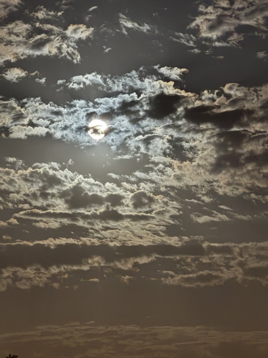 Yakup Almaç tweet media