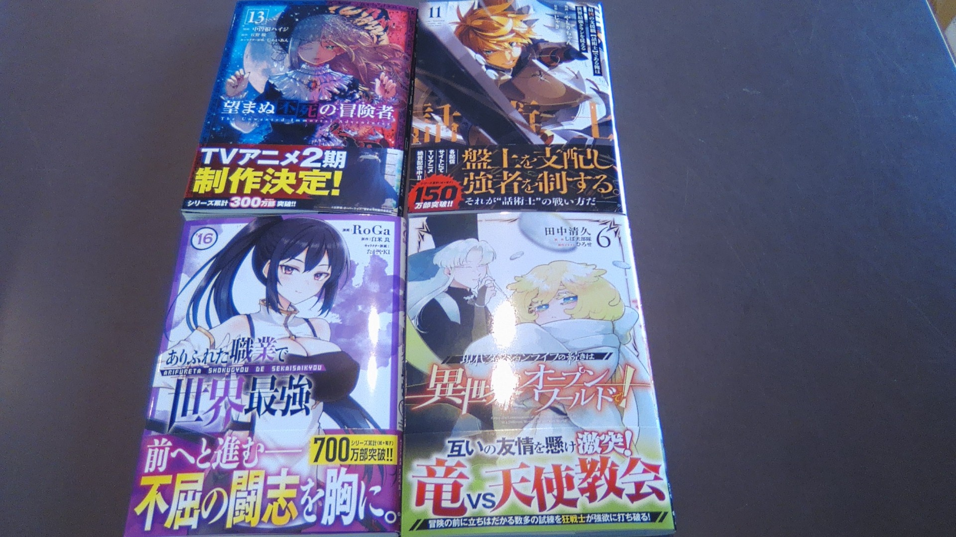 望まぬ不死の冒険者 小説 1-13巻セット 小説 望まぬ不死の冒険者 1-13 全巻セット