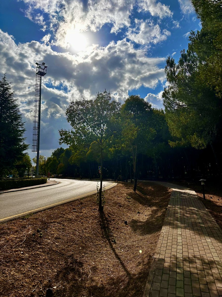 Günün Yazısı 🌳

linkedin.com/posts/can-kaya…