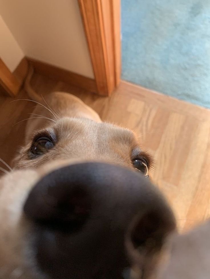 twaniimals's tweet image. 