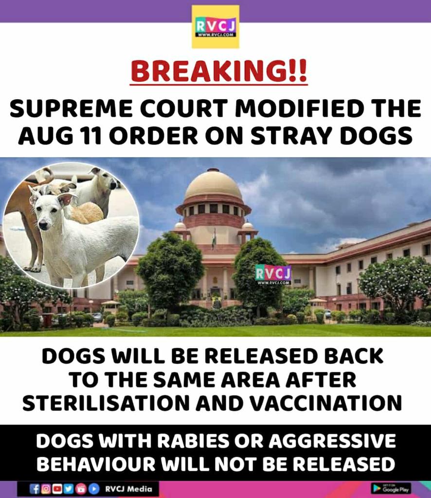 RVCJ_FB's tweet photo. 🚨 BREAKING NEWS https://t.co/zmS6i8zbJm