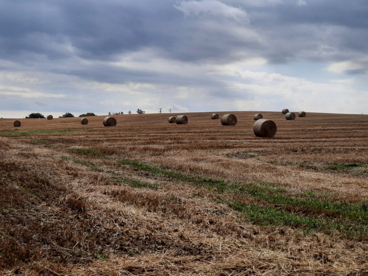 Alan Wakefield tweet media