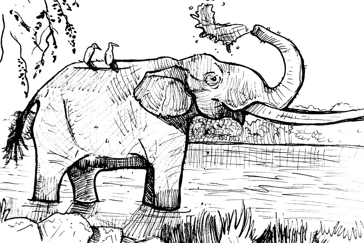 astrapionte's tweet image. A 34-year-old male Mammut (or Zygolophodon) borsoni finds joy in spraying his freeloading avian passengers on a warm noon in late Pliocene Europe.
….
#paleoart #mastodon #elephant #inkart #sketch