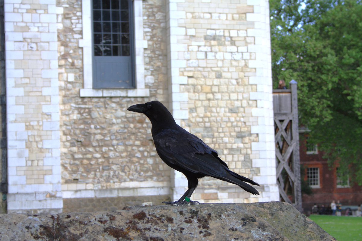 bjtexo's tweet photo. @TowerOfLondon https://t.co/joyhvfyAZg