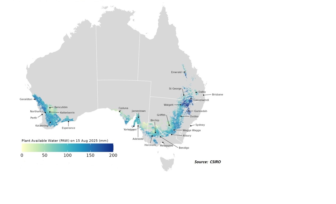 The CSIRO's latest Wheatcast is predicting a national average wheat harvest yield of 2.21 tonnes per hectare – a slight improvement on June and above the long-term average of 1.82t/ha.

<a href="/CSIRO/">CSIRO</a> has the current median Plant Available soil Water (PAW) at 107mm, with a range of