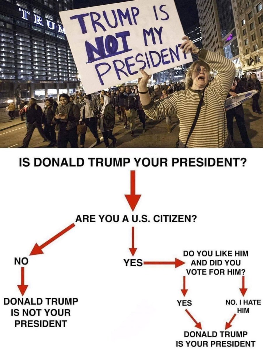 Civics 101 for Dummies…
