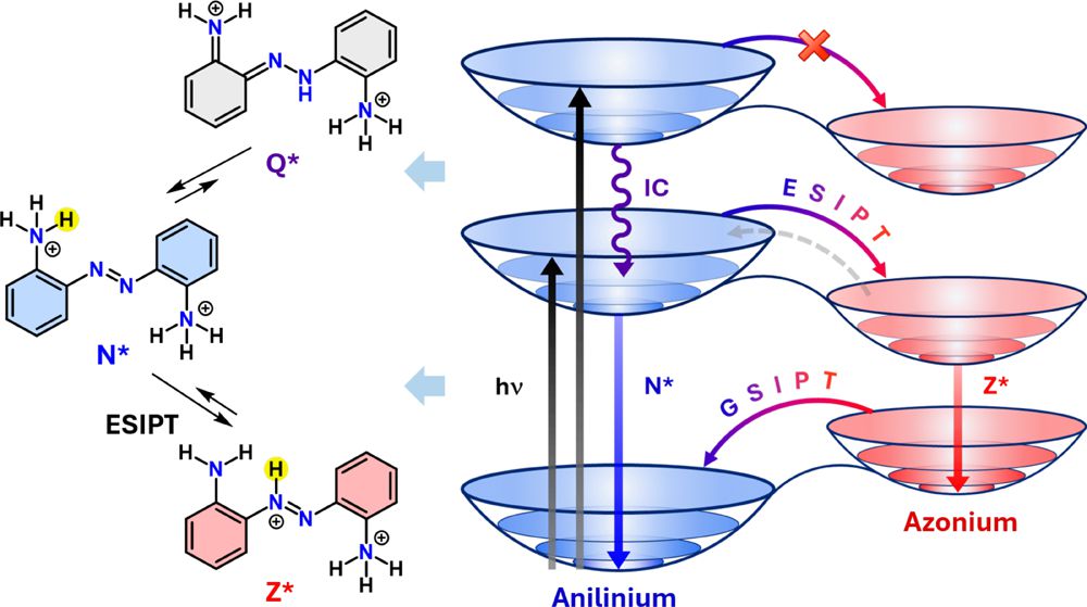 dj_pathak_chem's tweet image. Can excitation-dependent emission exist within Kasha’s Rule? 🤔
Our @ASLab_iiserb latest paper @JPhysChem A reveals annilinium-to-azonium ESIPT with multi-tunable emissions
doi.org/10.1021/acs.jp…
Big congrats to all co-authors & collaborators! @NP_Chem01 @chm_iiserb