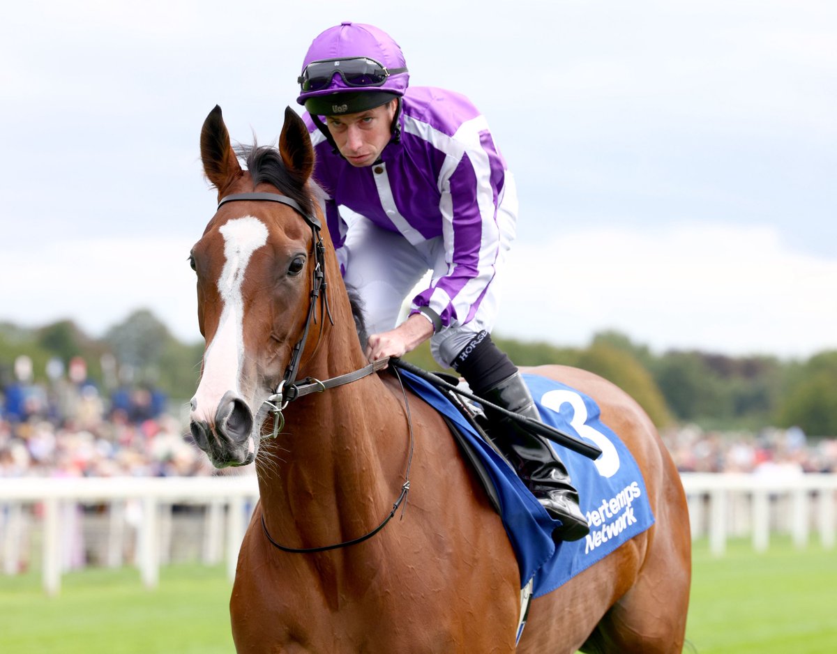 MINNIE HAUK 🙌💜

🏆 Cheshire Oaks
🏆 Epsom Oaks
🏆 Irish Oaks
🏆 Yorkshire Oaks

Some filly 💫