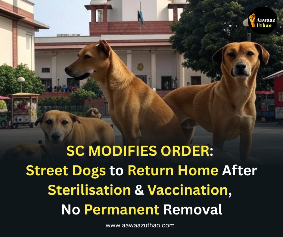 aawaazuthao's tweet photo. #SupremeCourt #StrayDogs #AnimalRights #JusticeForAnimals #StreetDogs #SCVerdict #DogLovers #Compassion #AnimalWelfare #RightToLive #StrayDogProtection #IndiaJustice
@PetaIndia 
@bl_worldforall 
@FIAPOIndia 
@gauri_maulekhi
@resqct 
@humanesociety 
@AnimalRising 
@FriendicoesSECA 
@BlueCross_ 
@pfagwalior