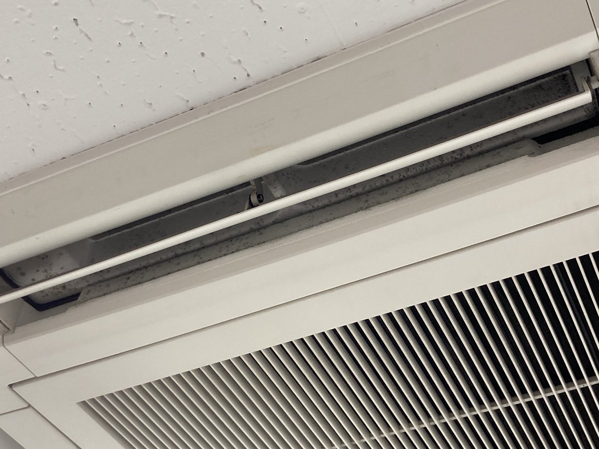 信じられるか…？
これ、原状回復後なんだぜ？

クロスの継ぎ目がこんなにわかり易いのの初めてꉂ🤣𐤔
いや、笑えないんだけど。

各所の処理がこんなに雑なのも初めてꉂ🤣𐤔
全然笑いないんだけど。

いつもお願いしてる職人さんの工事後は頬ずりしたくなるくらい美しくてうっとりするのに。(変態)