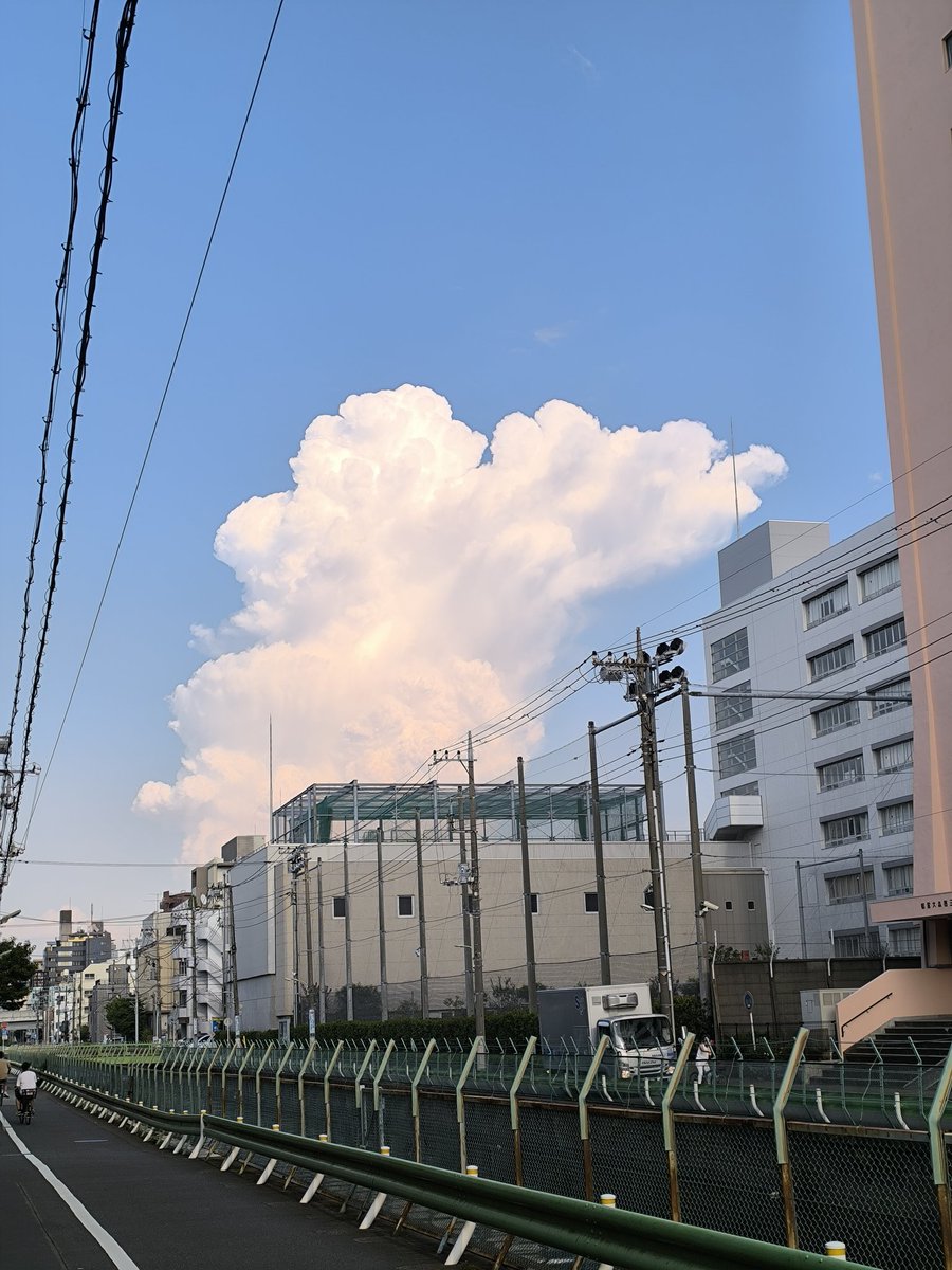 Витал from Японское обозрение (Япония) (@gorogoro848) on Twitter photo 