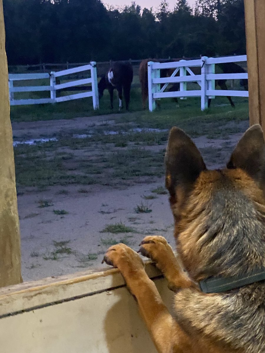 Good Morning Friends