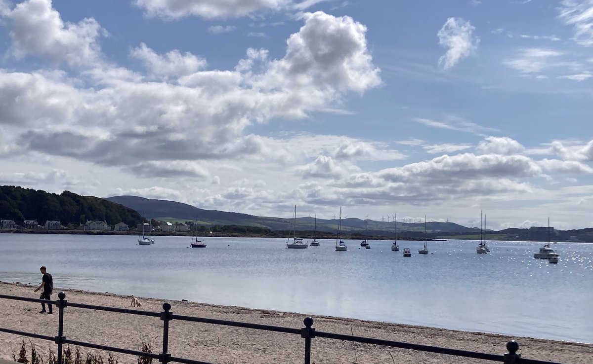 lindsay littleson tweet media