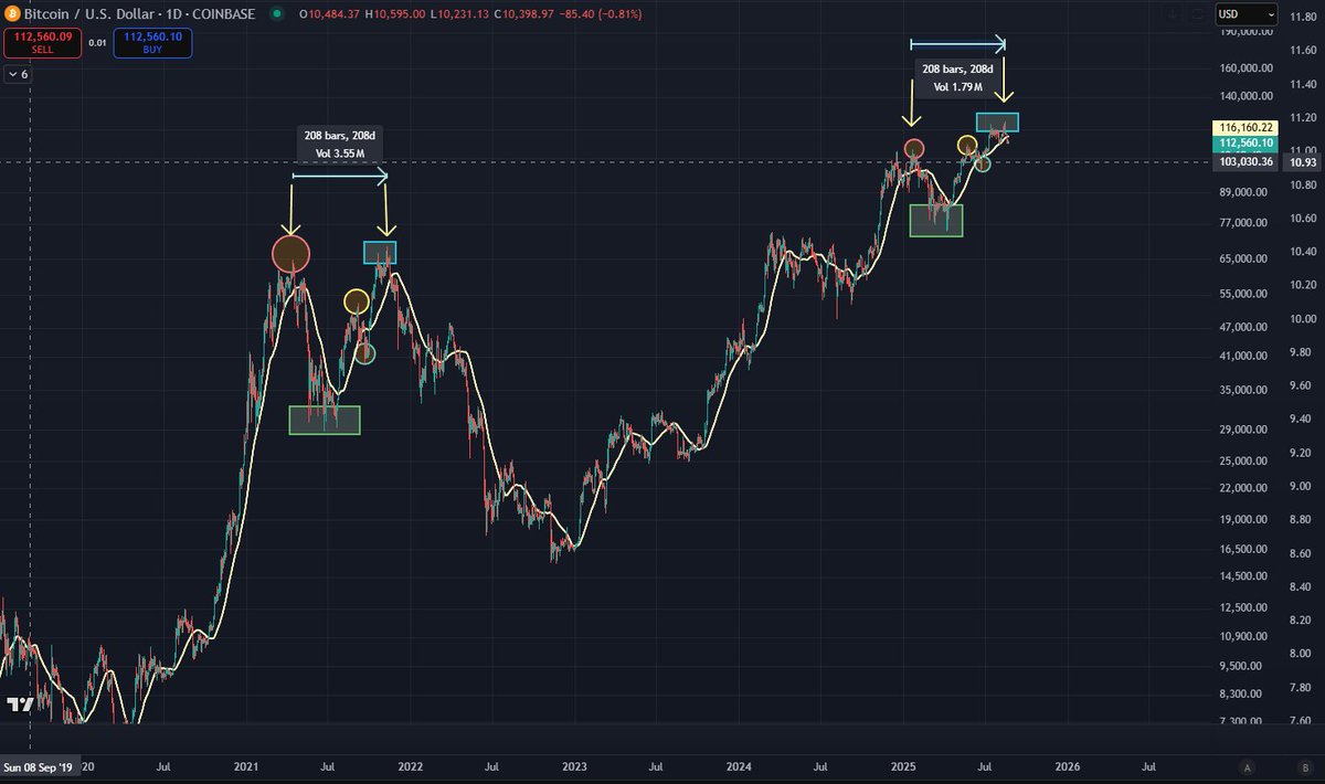 Swing Bull tweet media