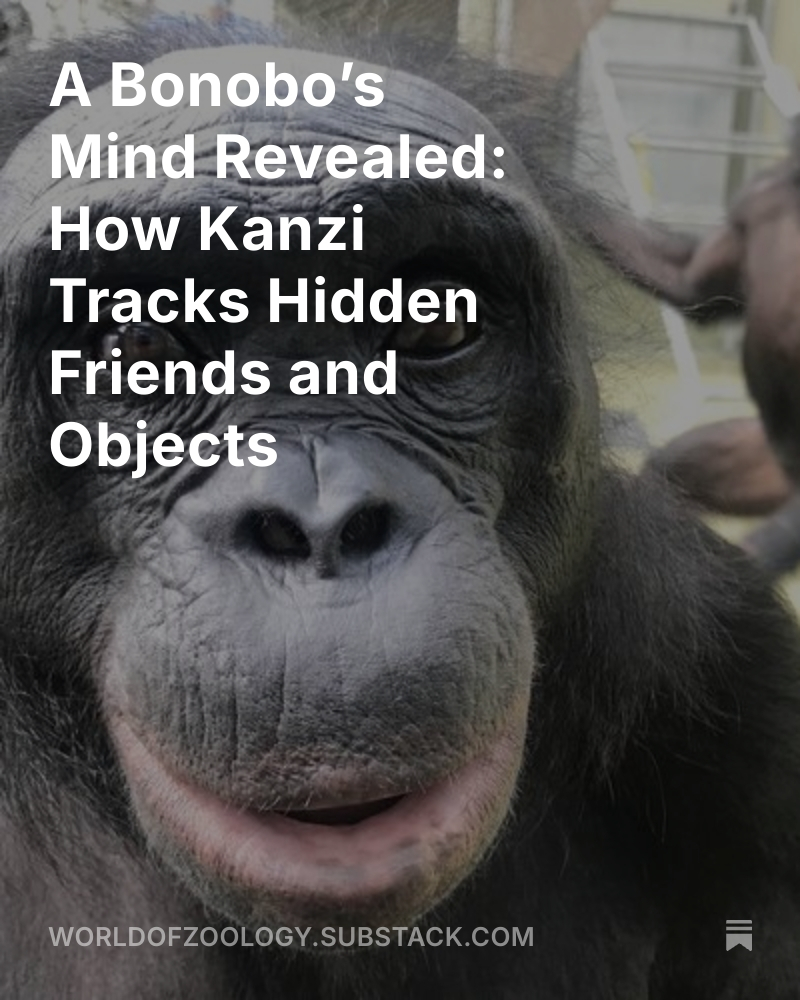 World of Zoology tweet media