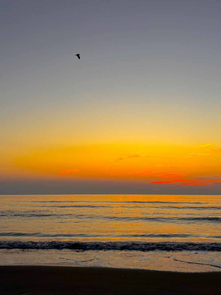 Gm 🌻

You are the light, the bird in flight, the breathing sea✨💫

#beBrave #beKind