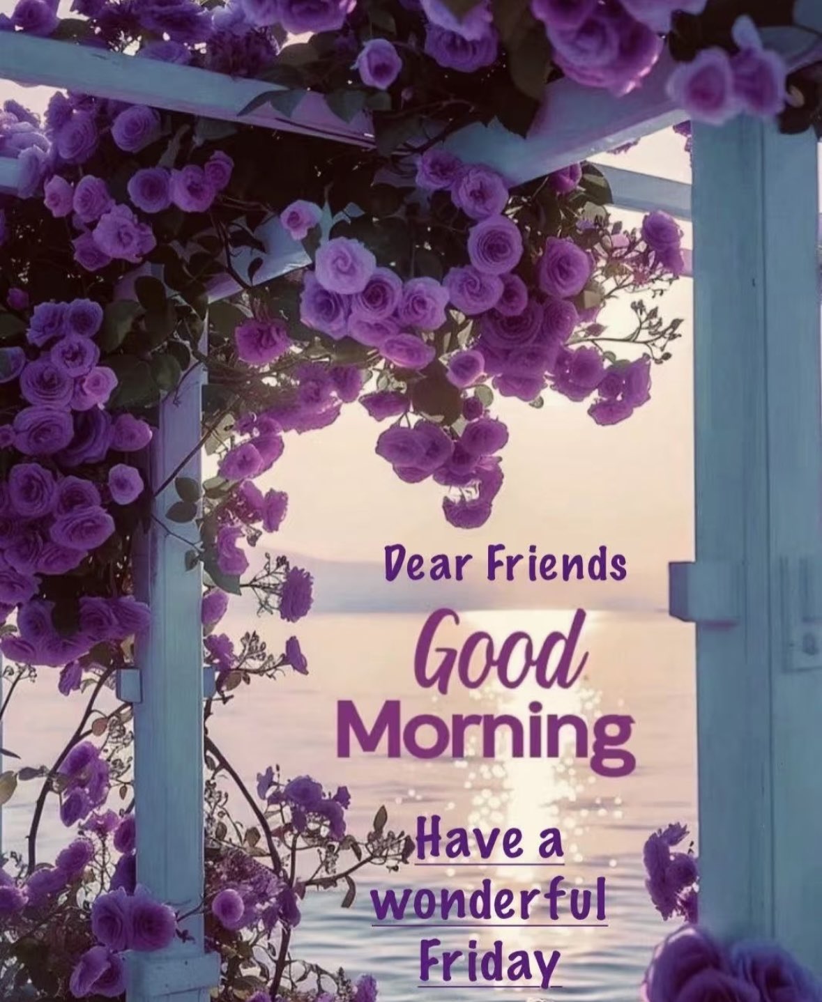 Good Morning My Dear Friends Have A Nice Day