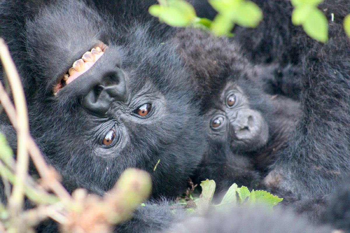 Smile! 😁 It's almost the weekend! 🤩 

📸 Dominic Mayo
