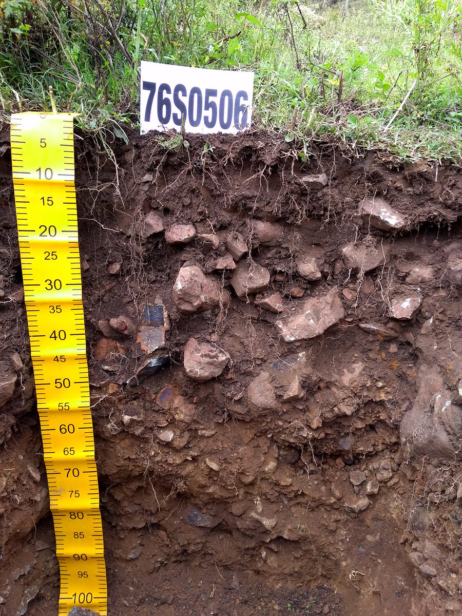 ColombianSoils's tweet photo. En los próximos días empezaremos en esta cuenta y nuestras redes sociales de Facebook e Instagram a publicar algunos de los perfiles de suelos más representativos de este estudio. Abajo dejamos un abrebocas de los hermosos suelos del Valle del Cauca. https://t.co/5U2ISggbys