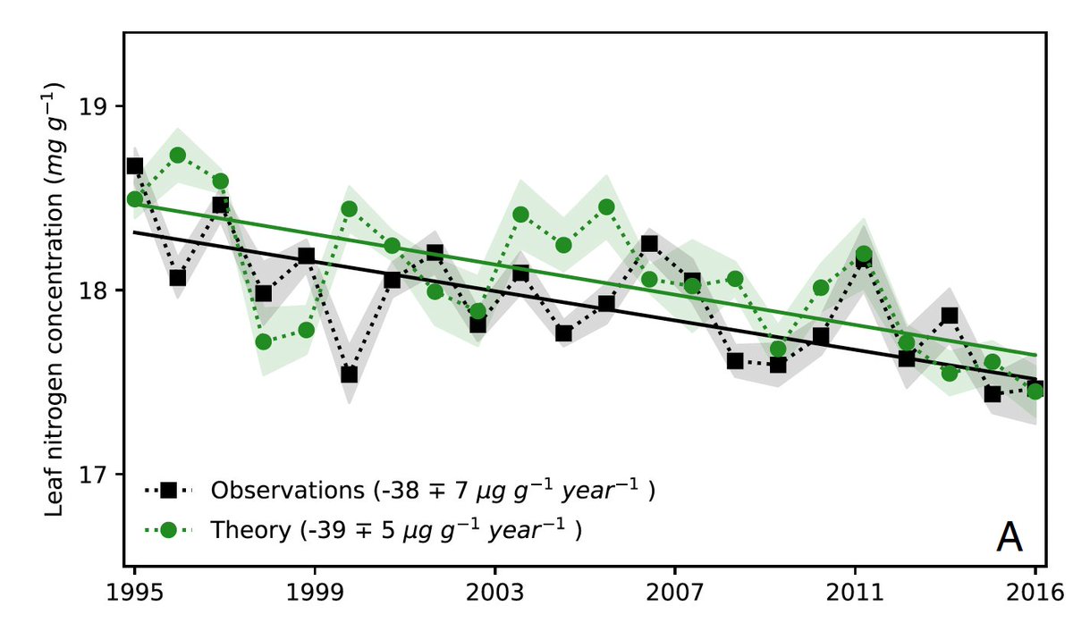 MartinOesterhel's tweet photo. En bosques europeos, el N de las hojas cayó en las últimas décadas. No es “hambre” de nutrientes, es aclimatación al CO₂: con más CO₂ la fotosíntesis es más eficiente y se requiere menos Rubisco (≈−4% de N por +50 ppm CO₂; 409 sitios, 22 años) https://t.co/gPecGzDhpL