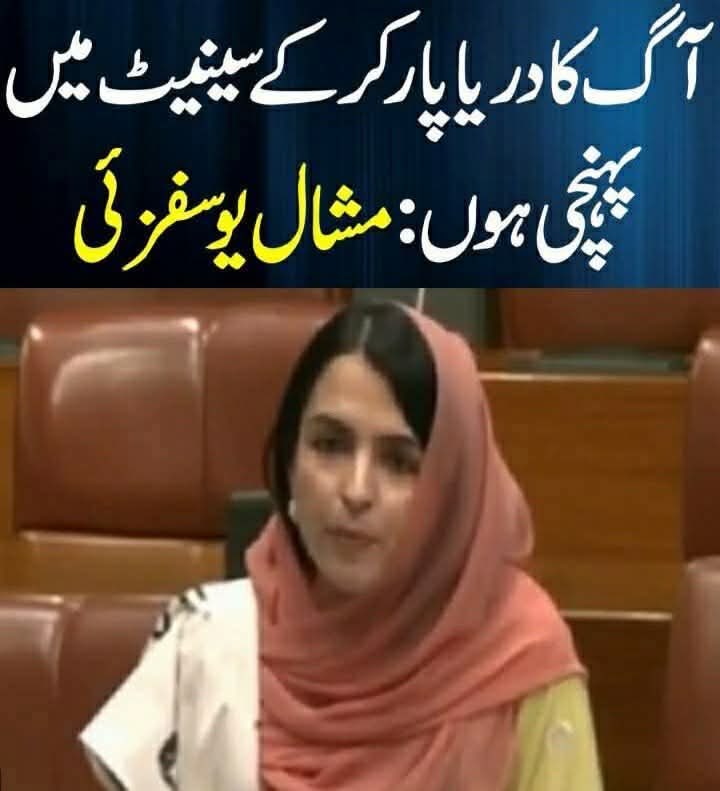 آپ کے خیال میں یہ کونسی"آگ"کا دریا پار کر کے یہاں تک پہنچی ہے؟