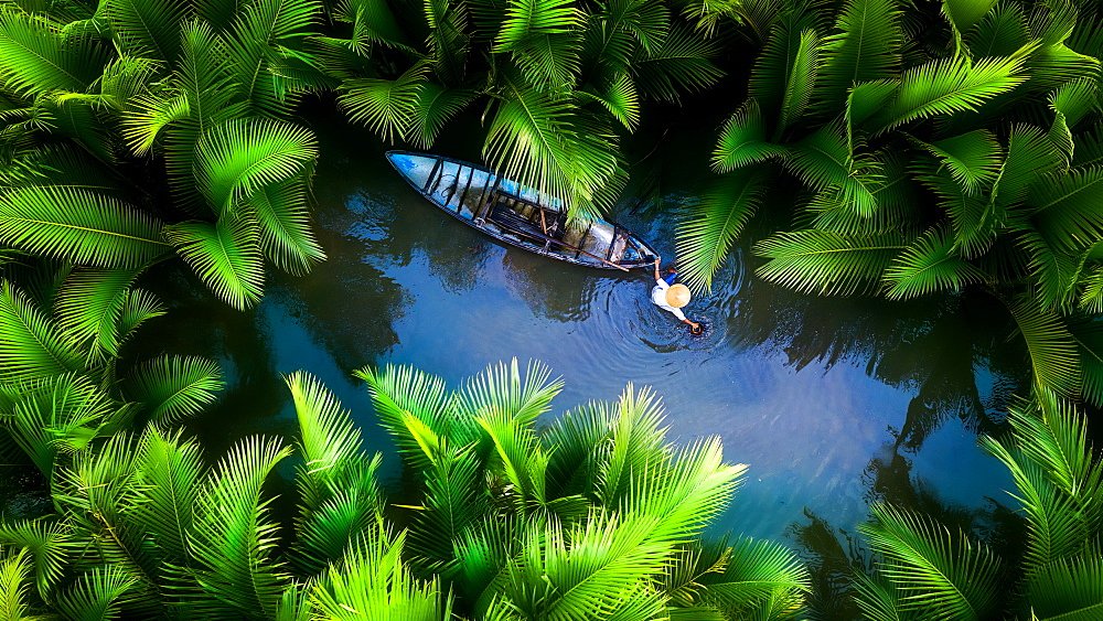 Need inspiration that feels like a breath of fresh air?
Explore Serene Green in Vietnam, a visual journey through lush palms, misty mountains &amp; tranquil coastal views. Perfect for editorial, design &amp; storytelling projects.
robertharding.com/gallery/serene…
#Vietnam #VisualStorytelling