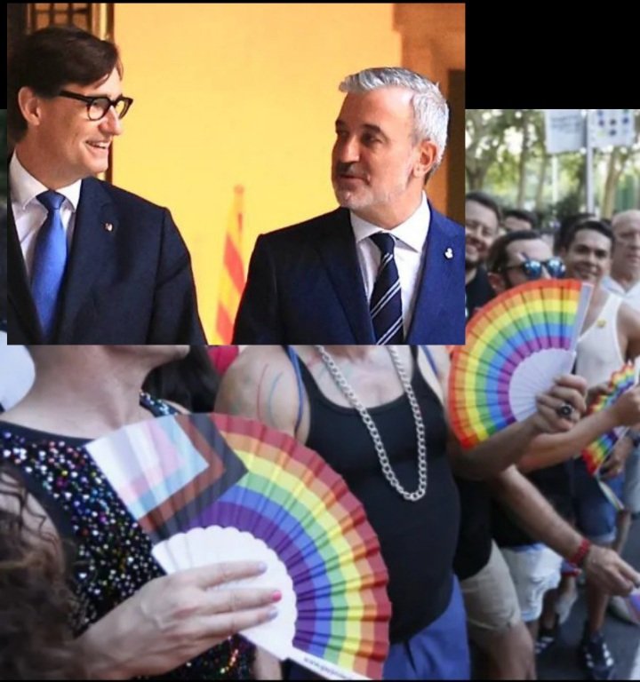 Palestina mata a gays,  <a href="/jaumecollboni/">Jaume Collboni</a> , Israel PROTECCIÓ