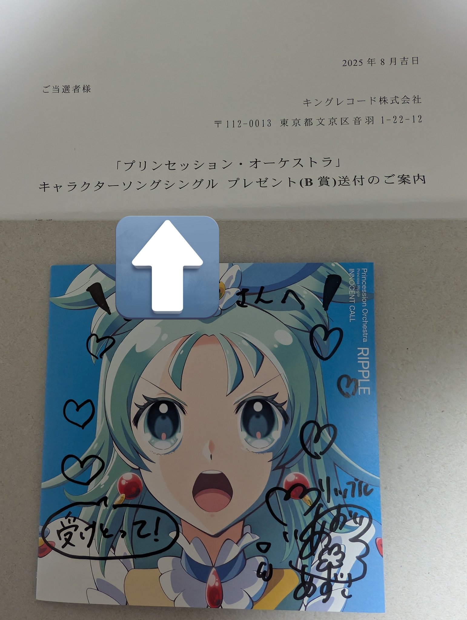 めいちゃん 僕等の色彩 大当たり サイン入りポスター めいちゃん 歌い手 僕等の色彩 サイン入りポスター - メルカリ