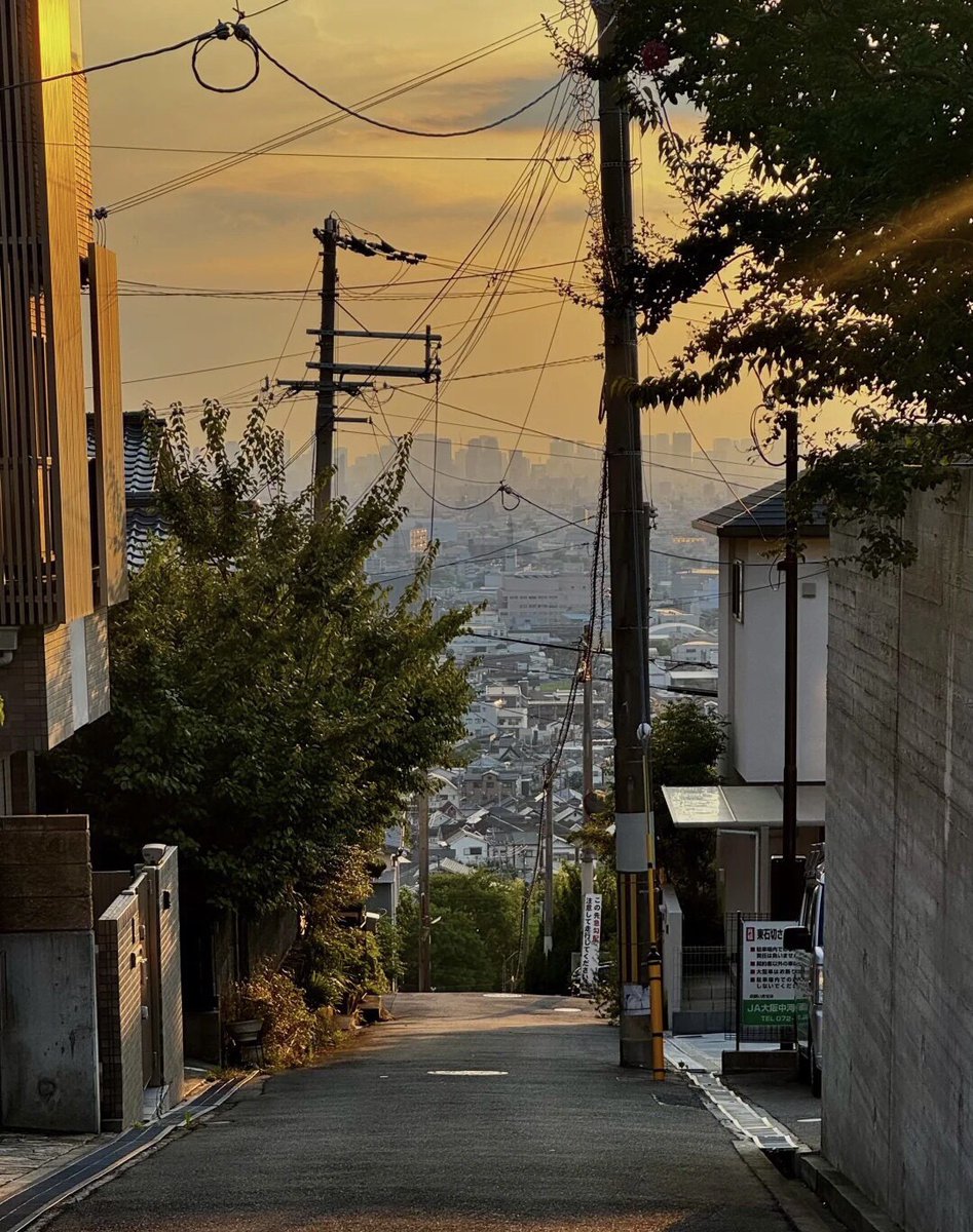 Mia_0725a's tweet photo. 🌇✨中之島や大阪城の夕陽をしっかり堪能してきました😊🌿 心斎橋の遊覧船やHep Fiveの赤い観覧車では日暮れを待ちながら、ゆっくりと流れる時間を感じて…💭🎡  #大阪城 #中之島 #心斎橋 #HepFive観覧車 #grandgreenosaka #夕暮れ #夕陽 #大阪の景色 #日没 #ピンクオレンジ #癒しの時間 https://t.co/pPOYZaEJMK