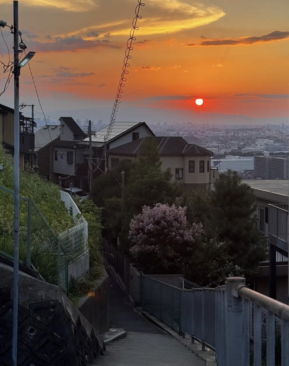 🌇✨中之島や大阪城の夕陽をしっかり堪能してきました😊🌿 心斎橋の遊覧船やHep Fiveの赤い観覧車では日暮れを待ちながら、ゆっくりと流れる時間を感じて…💭🎡  #大阪城 #中之島 #心斎橋 #HepFive観覧車 #grandgreenosaka #夕暮れ #夕陽 #大阪の景色 #日没 #ピンクオレンジ #癒しの時間