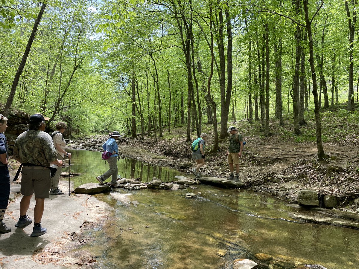 cruzzeroutdoors's tweet image. In our hiking group we always lookout 4 ea. other’s safety and make sure that we have safe fun times. Crossing Steel Creek trail at the Buffalo National River Park in Arkansas. #discovernature #gohiking @BuffaloNPS . Many of us have taken 1st aid courses, outdoor safety classes.