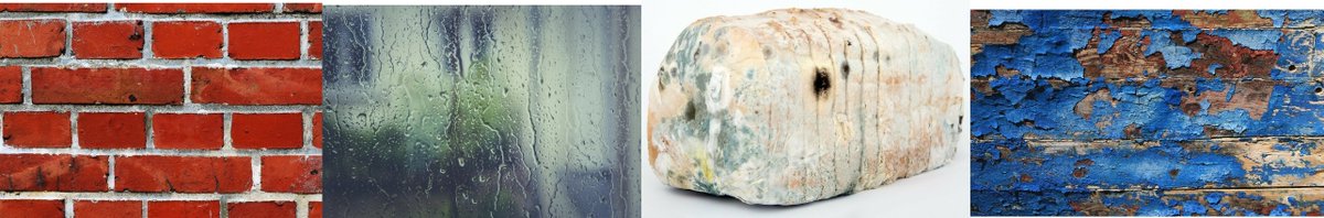 Proficiency tweet media