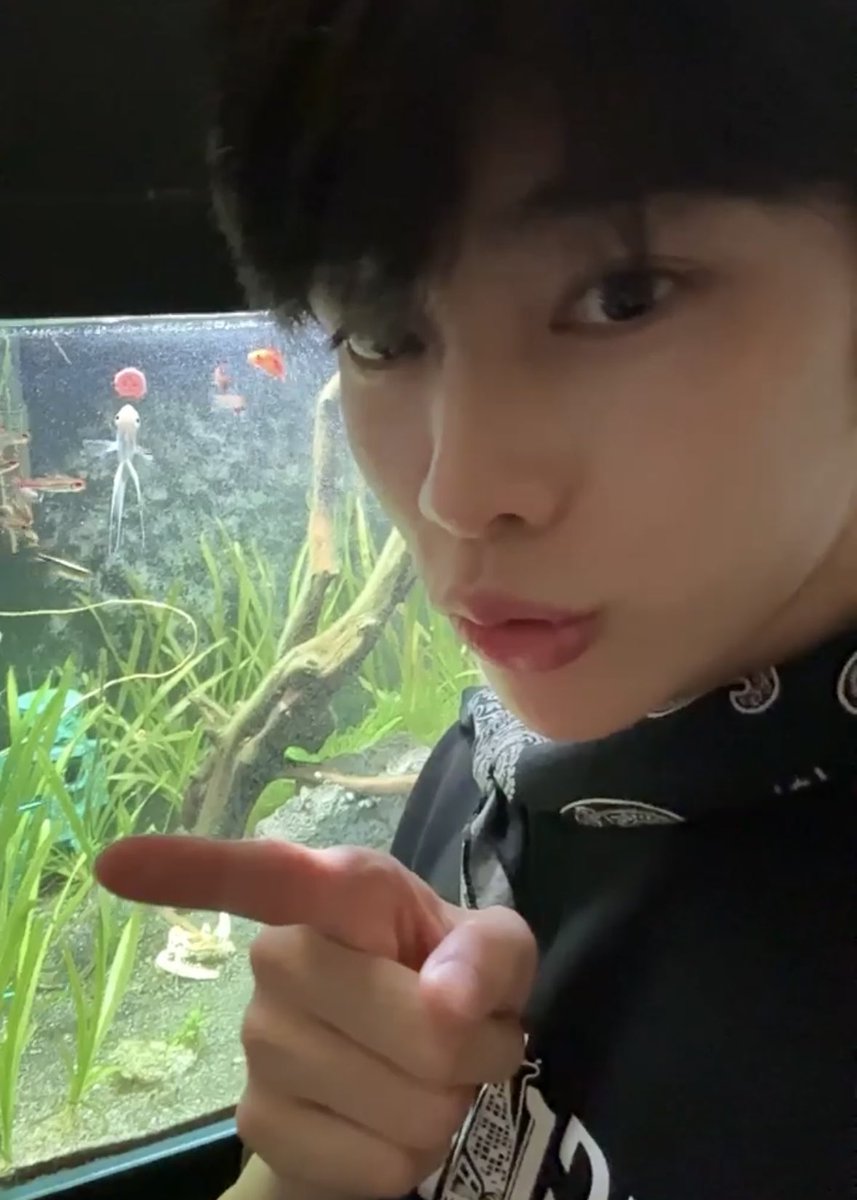 오랜만에 한빈랜드 밥 먹는 거 보여줬어
벽에 붙여놓으면 물고기들이 알아서 먹는대!!
물고기 밥 먹는데 한빈이가 애교를 부림😻😻