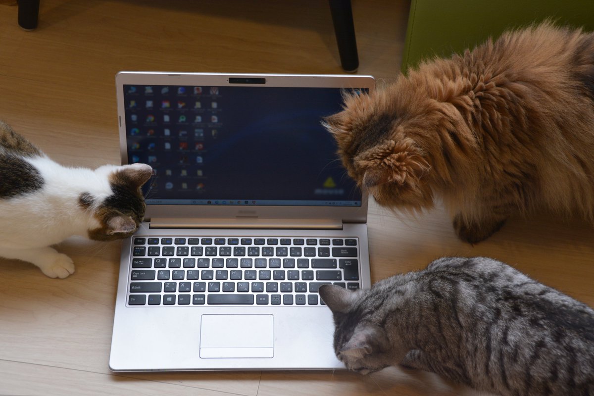 フリー素材ドットコム tweet media