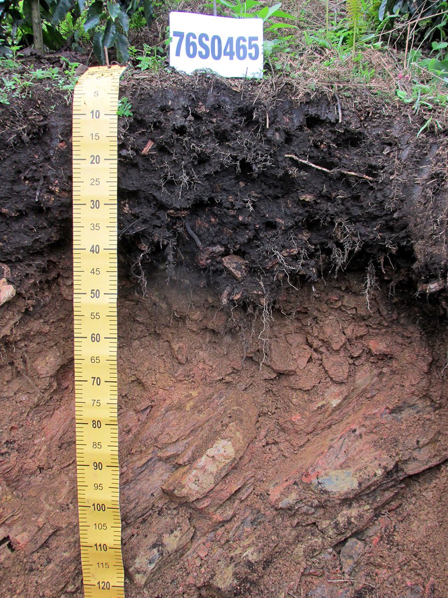 ColombianSoils's tweet photo. 📢 In the coming days, we’ll be publishing some of the most representative soil profiles from this study here on X, as well as on our Facebook and Instagram accounts. Here’s a sneak peek of the beautiful soils of Valle del Cauca. https://t.co/QXz8SIolm3