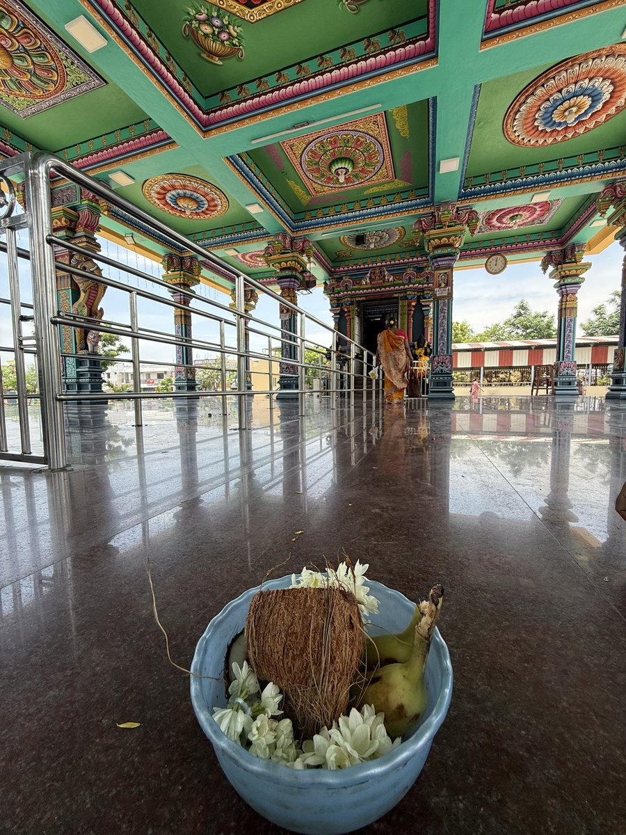 gogoi51422's tweet photo. Kaal Bhairava & Ponni Amman heard our cries. 🙏
#StrayDogsOfIndia
#DesiDogs https://t.co/zvZncwDZy7