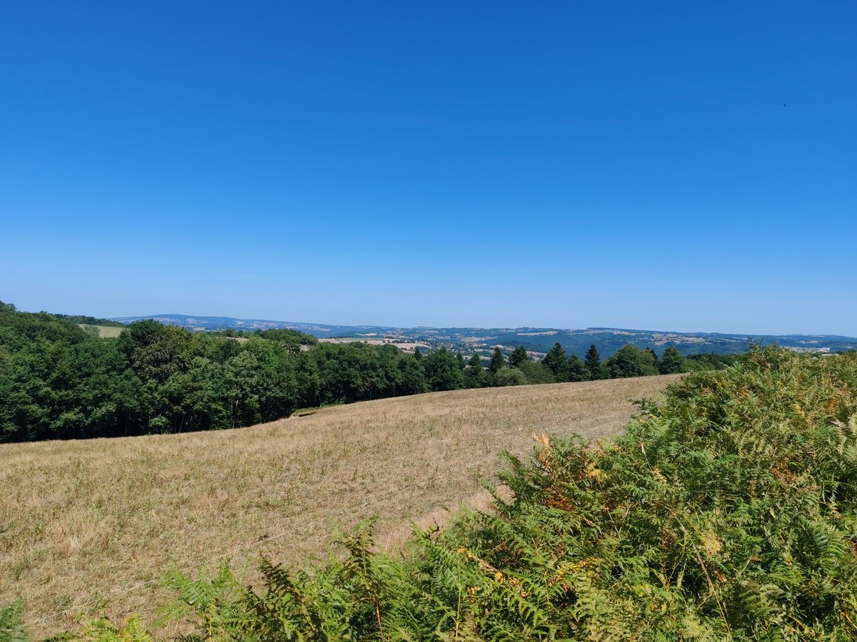 Petit paysage d'Auvergne !
