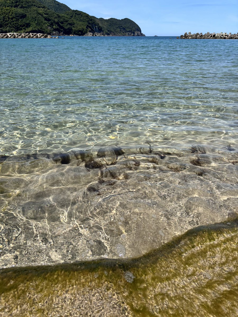 Whelk_27's tweet photo. 海めっちゃ綺麗やった https://t.co/NWzLoiNMBP