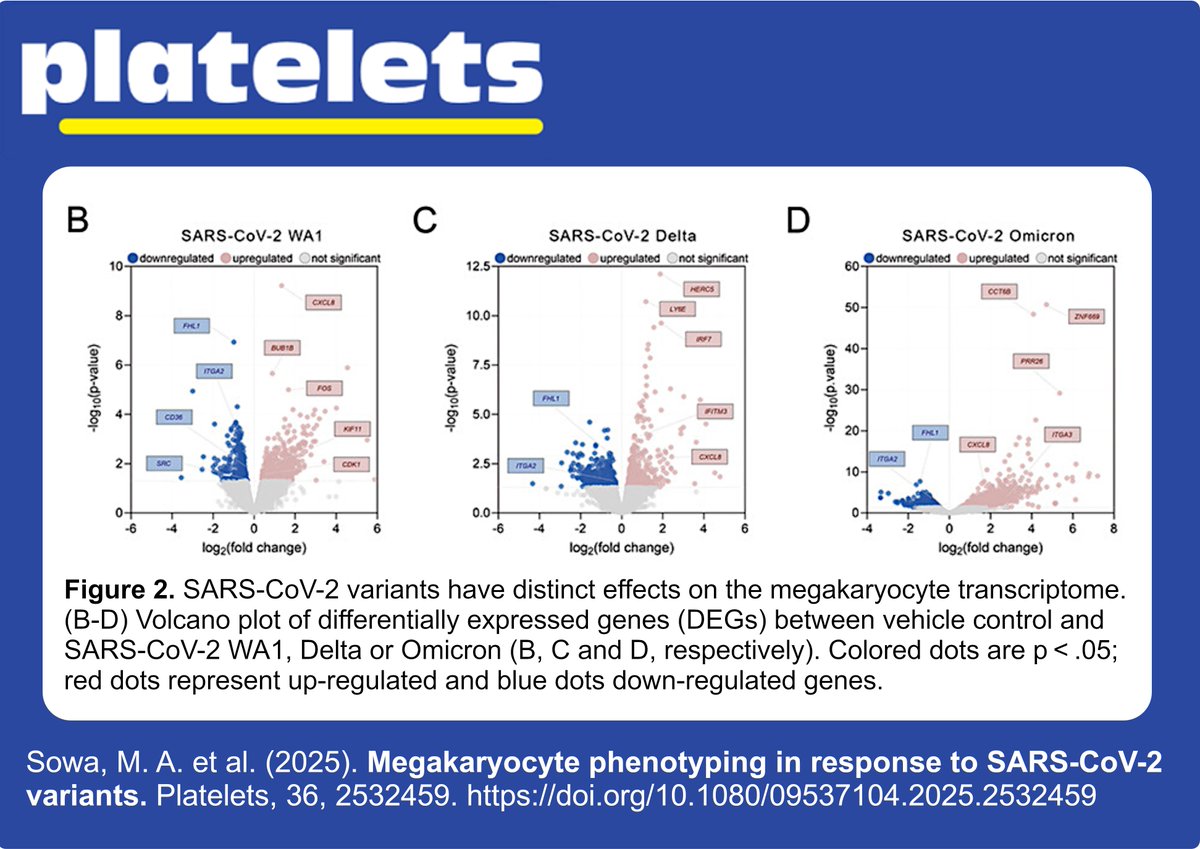 Platelets tweet media