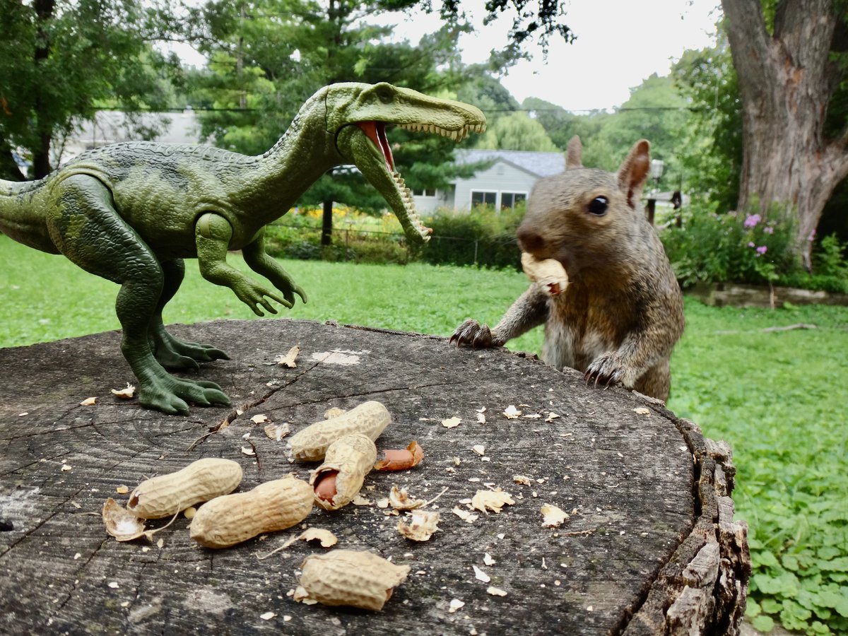 Happy Friday! You can face your fears. I believe in you! #FridayFeeling #squirrels