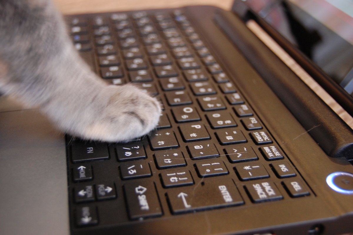 フリー素材ドットコム tweet media