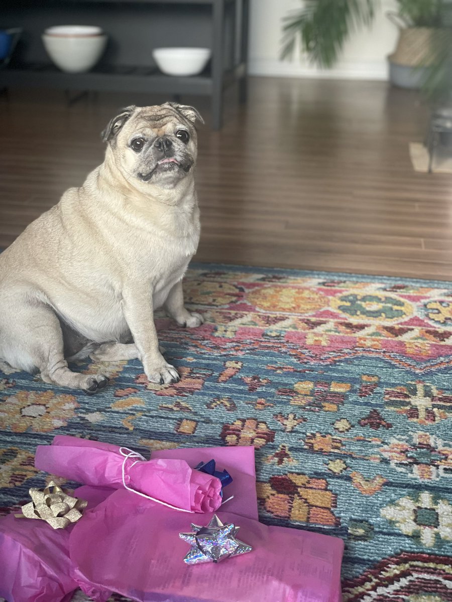 Angel Carly 🌈 & Lily 🐾🇨🇦 tweet media