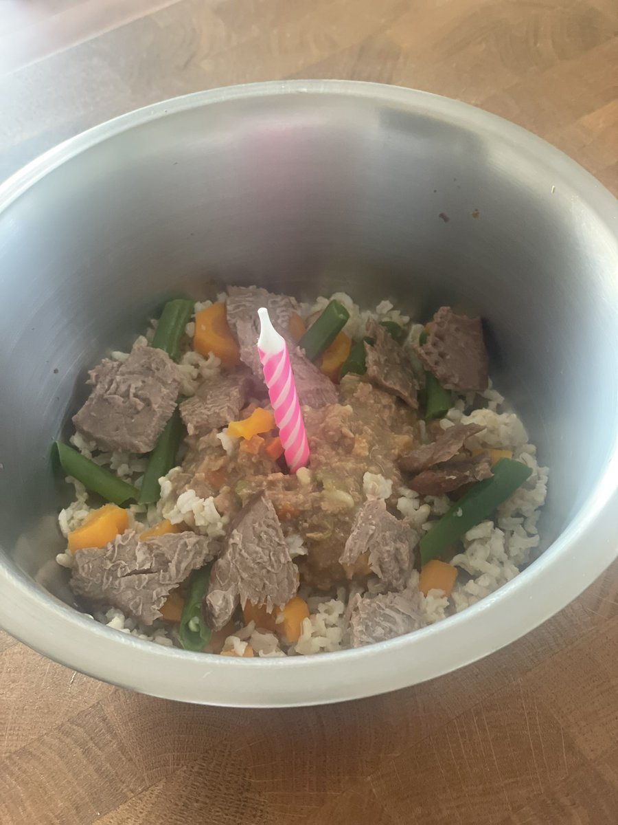 Angel Carly 🌈 & Lily 🐾🇨🇦 tweet media