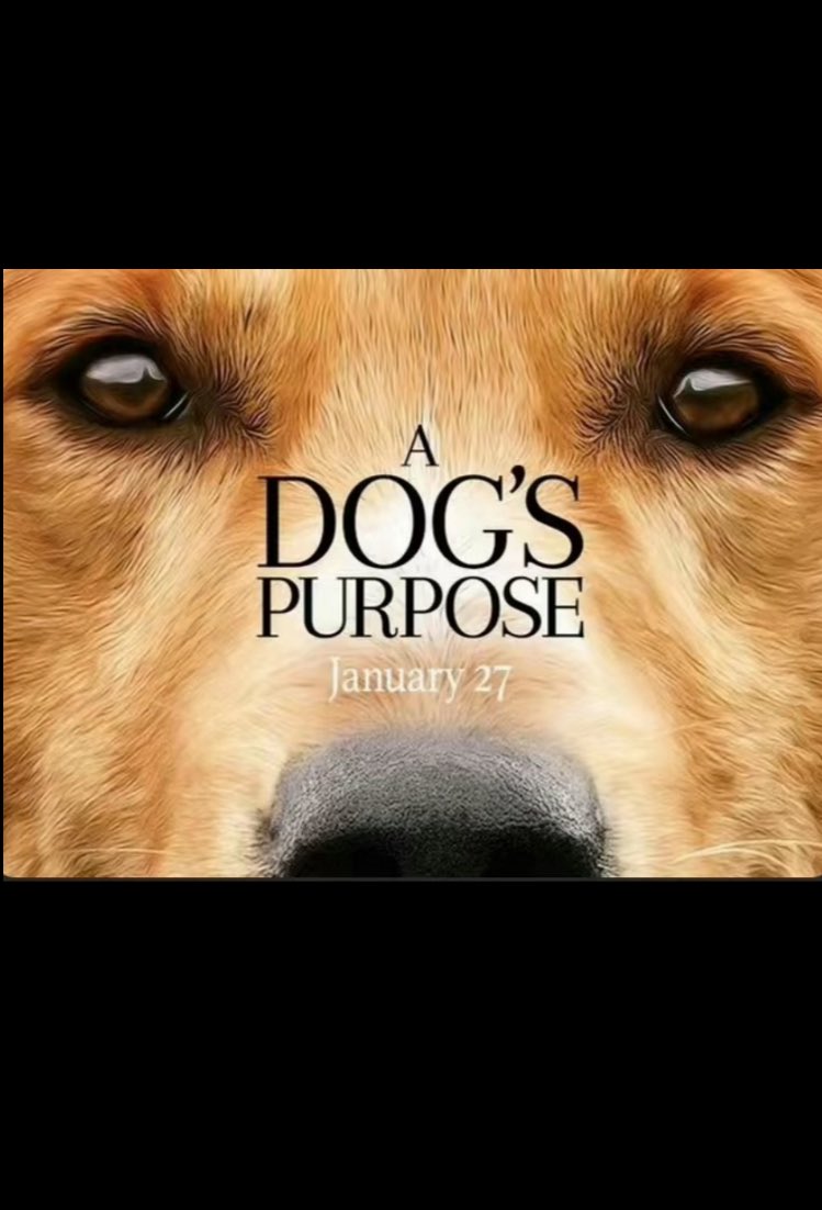 RealRJSarge's tweet image. Can’t wait to crack some fruzz #seniorszn